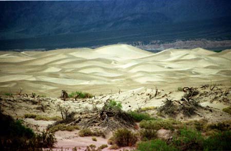 Death Valley Dunes