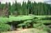 cabin in a meadow